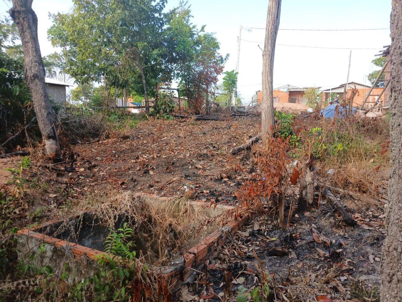 Terreno com área verde em ótima localização - Foto 4
