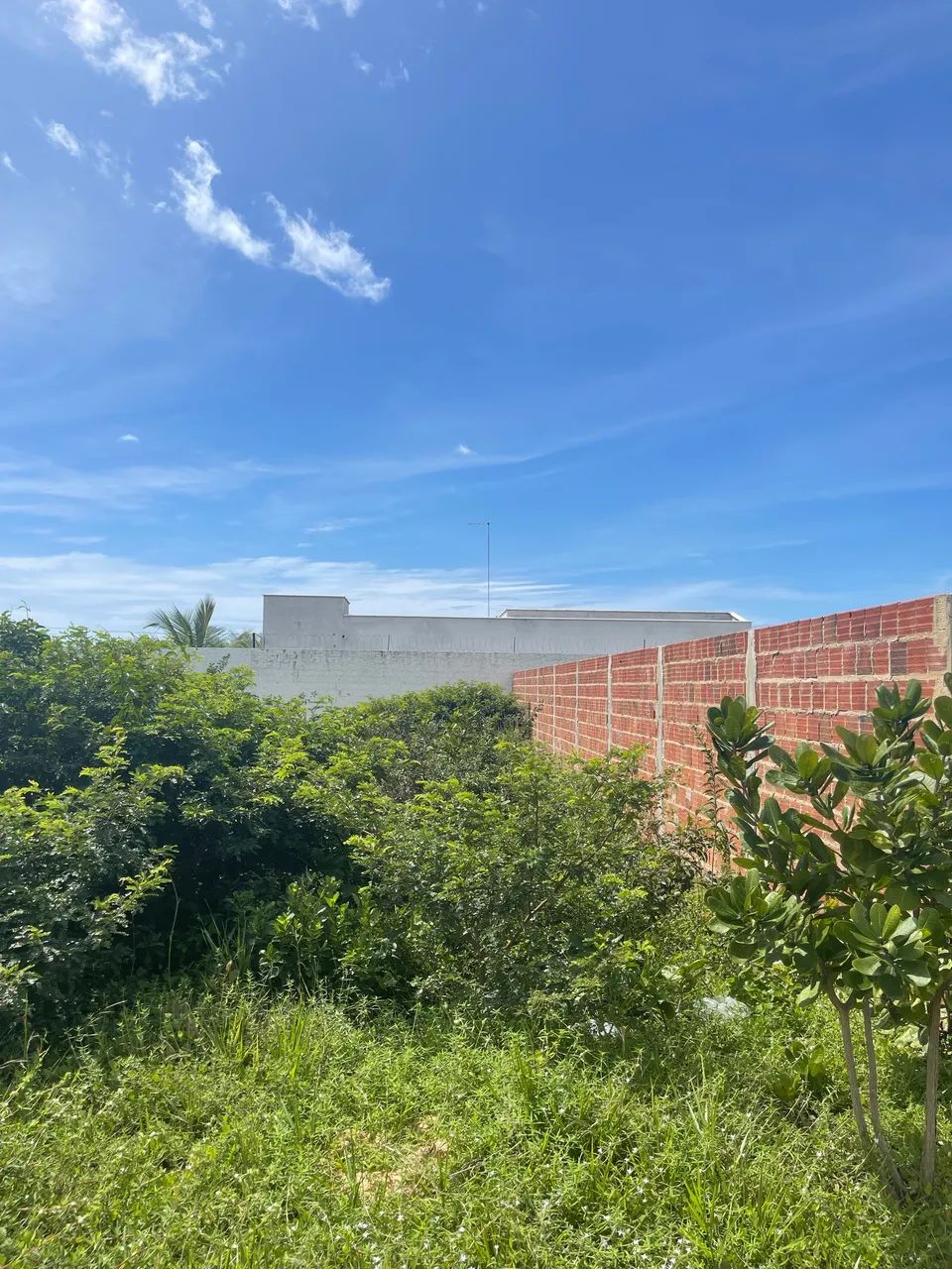 Terreno com documentação 8x25 