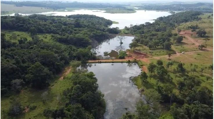 Foto - Goiânia - Jardim América