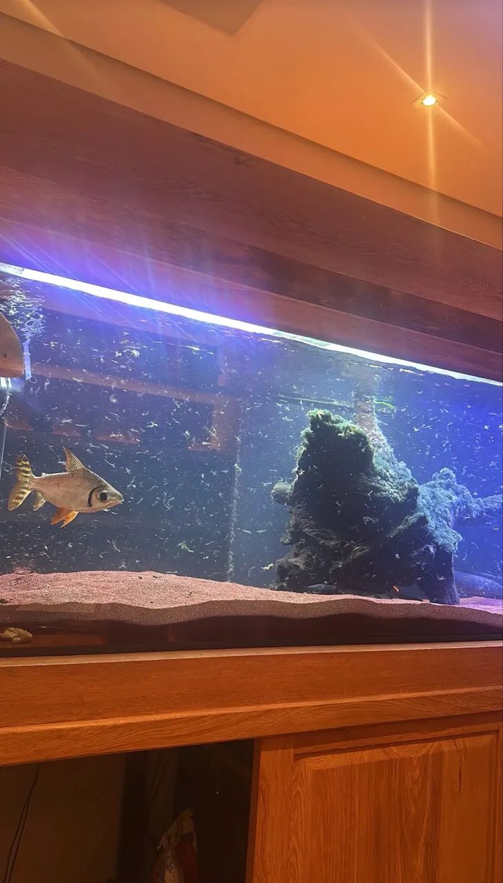 Aquário Jumbo 1.100 Litros Franco Aquarismo  - Foto 5