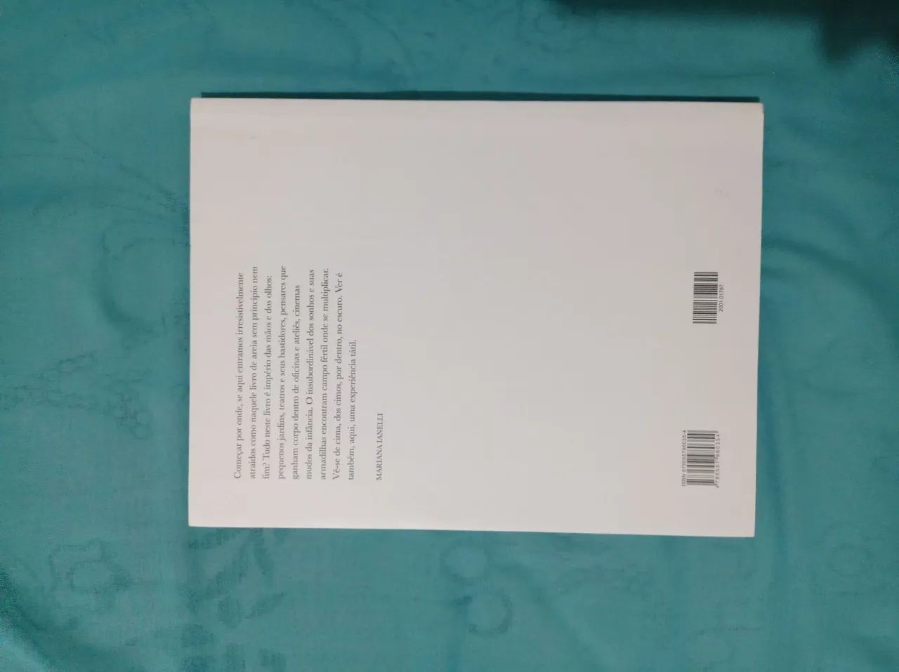 Nas mãos de Benedita - Carlos Dala Stella - Foto 2