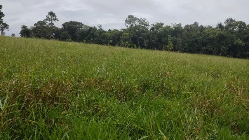 Sítio de 28.000M² em Sítio Novo - Mateus Leme - MG - Foto 5