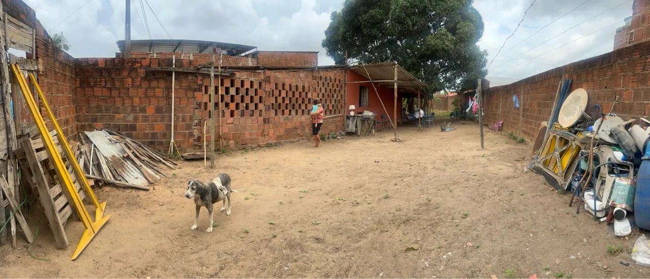 Terreno com árvores frutíferas - Foto 2