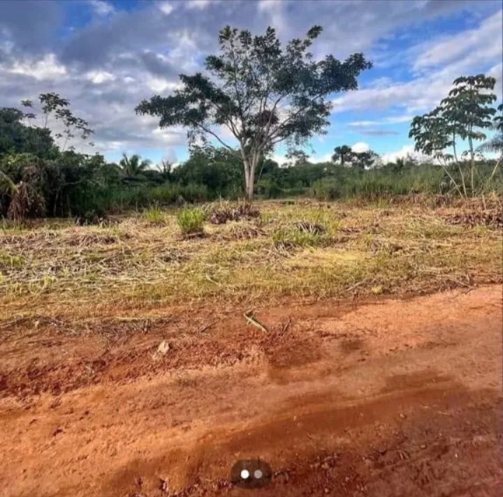 Terreno