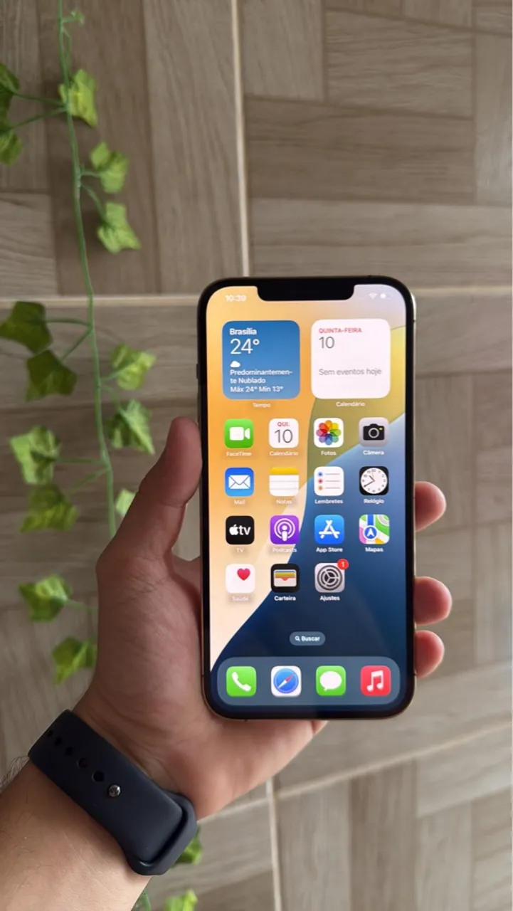 iPhone 12 Pro Max