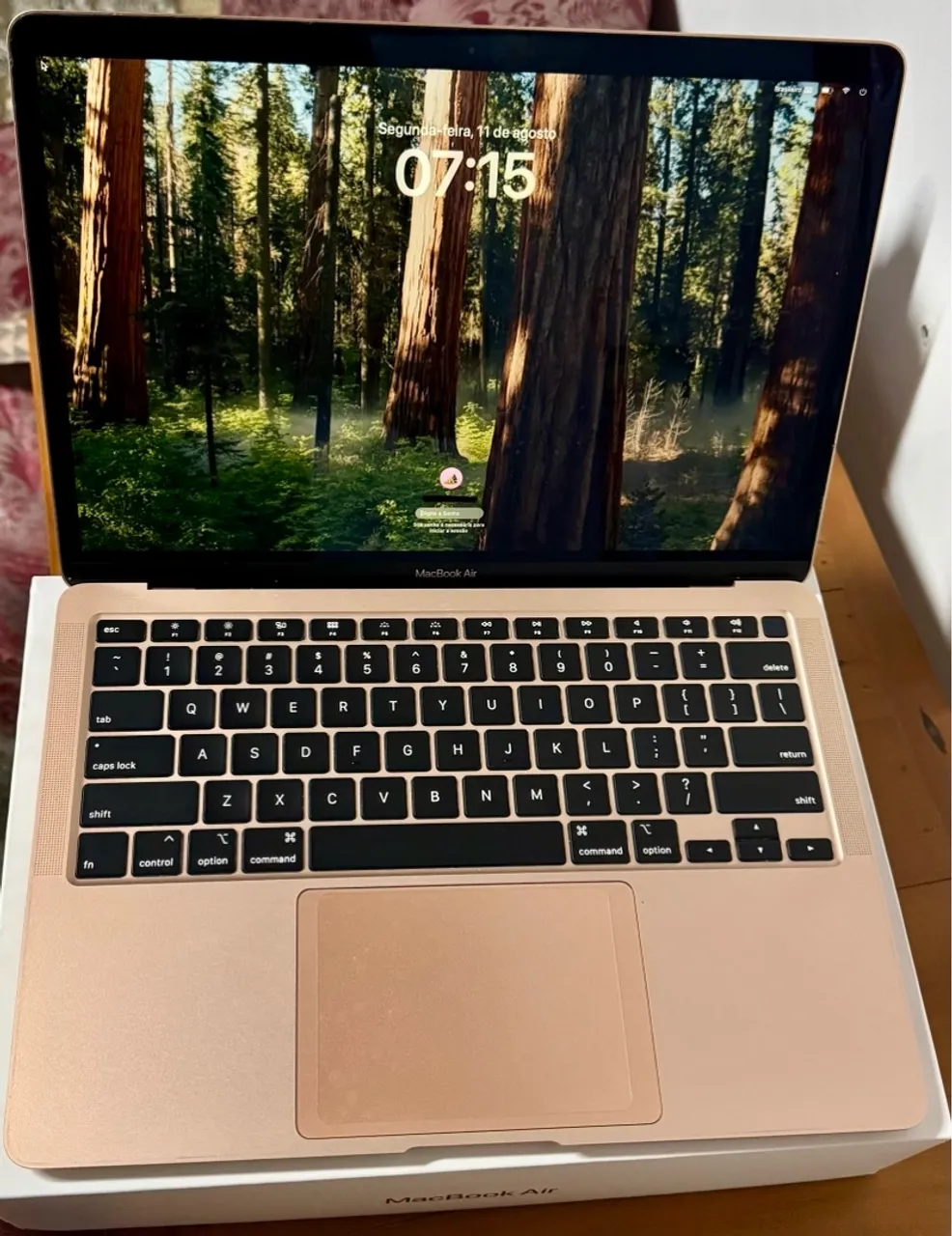 MacBook本体 MacBook Air M1,2020 16GB GOLD Macbook Air M1 8GB 256GB SSD Tela 133 Gold 2020