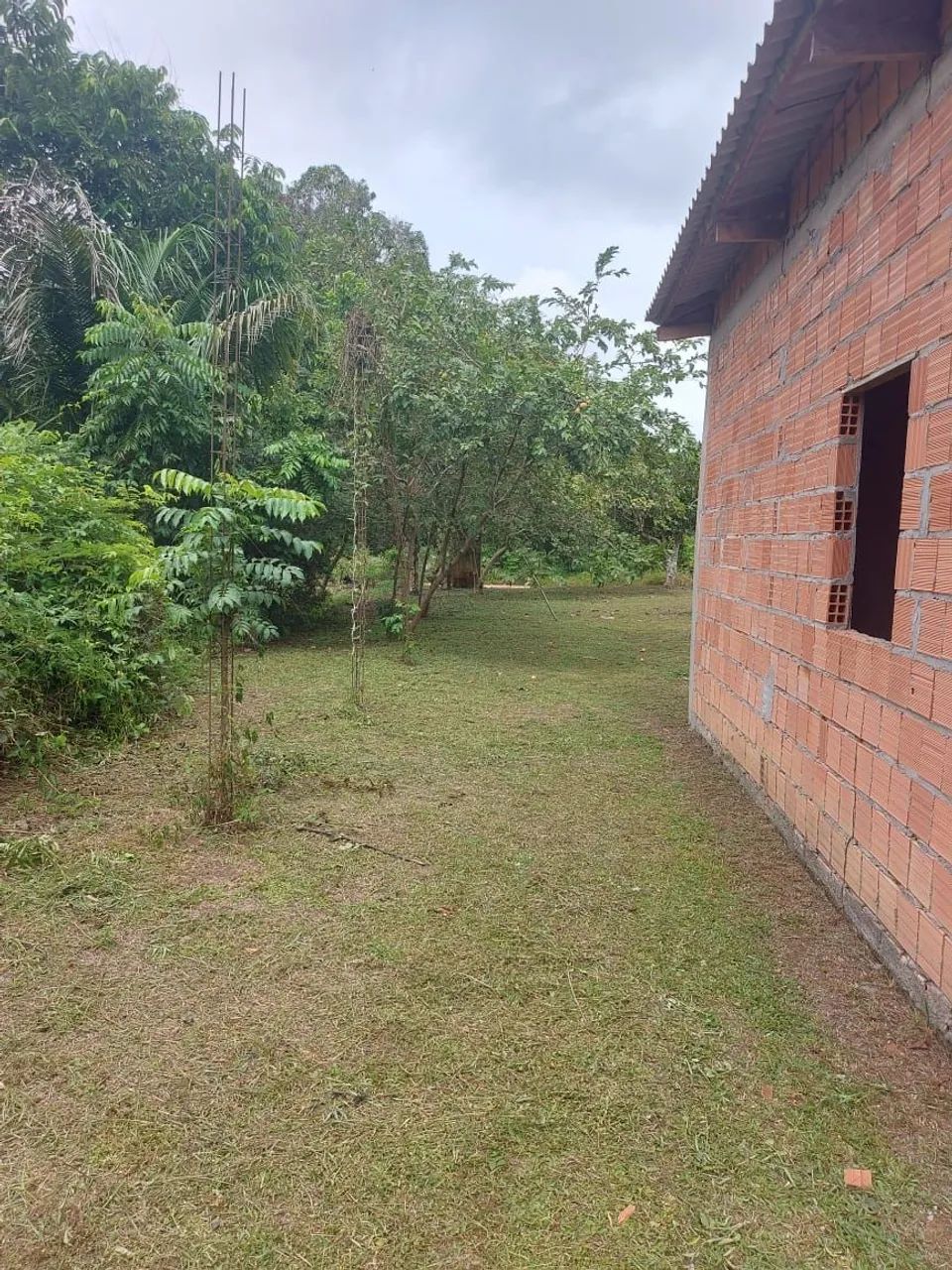 Foto - Manacapuru - Área Rural de Manacapuru