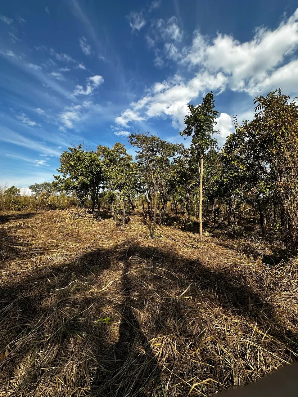 2 TERRENOS A VENDA EM VARGINHA-Sant. ANTÔNIO DO LEVERGER  - Foto 2