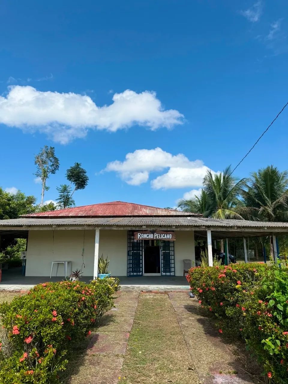 Vende-se chácara completa contato *09 - Foto 4