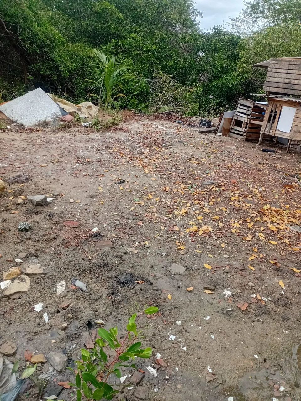 Vendo terreno 7 mil aceito oferta  - Foto 3