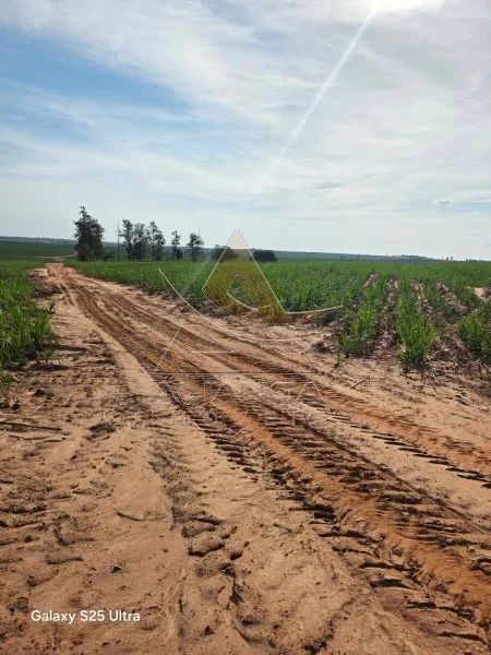Fazenda - Echaporã - Zona Rural - Foto 3