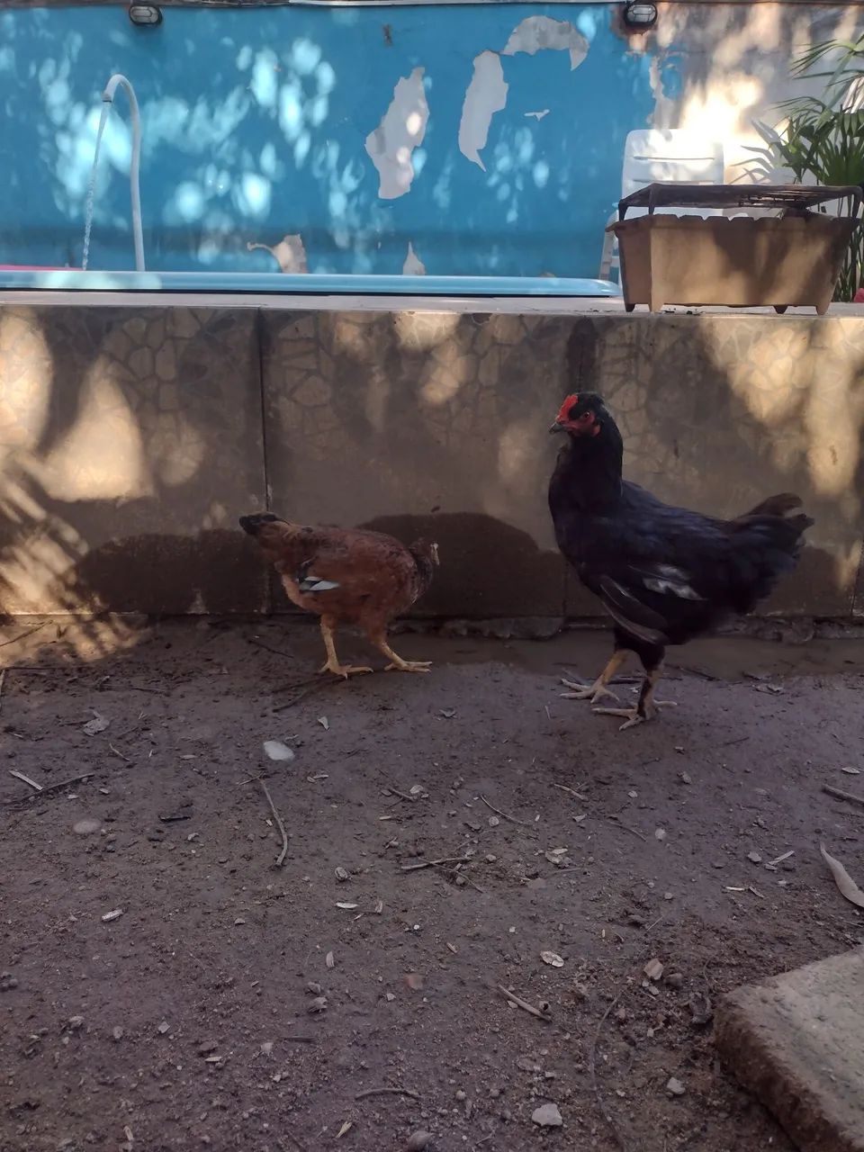Casal de garnize - Foto 2