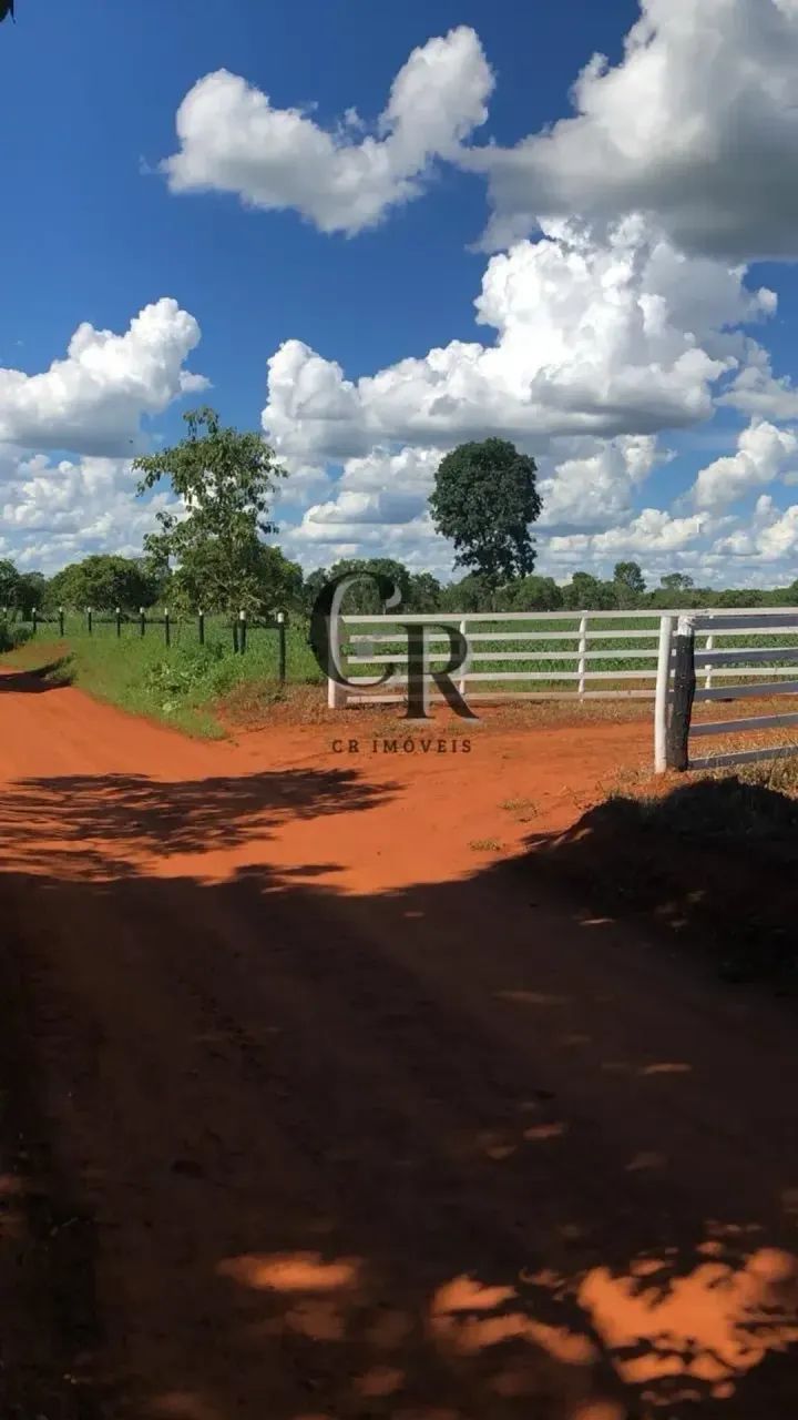 Chácara em Bela Vista - GO (Meio alqueire) - Foto 5