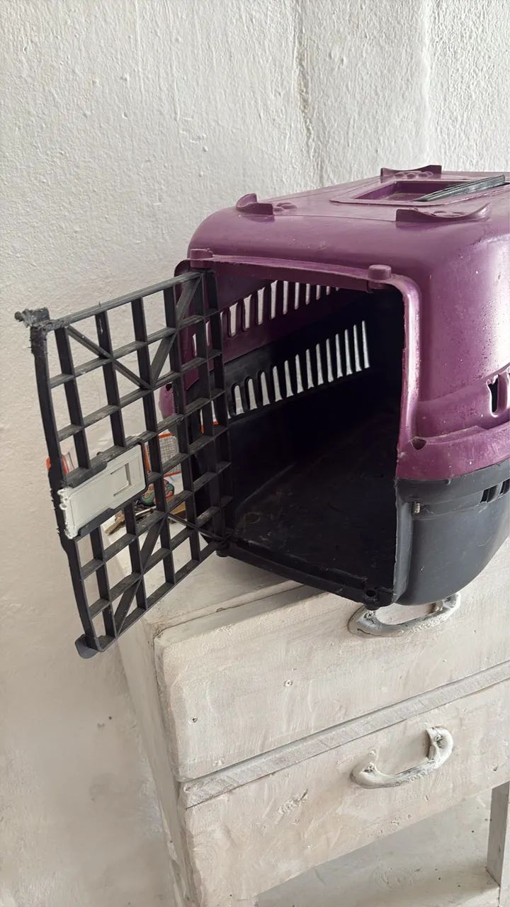 Casinha de cachorro - Foto 3