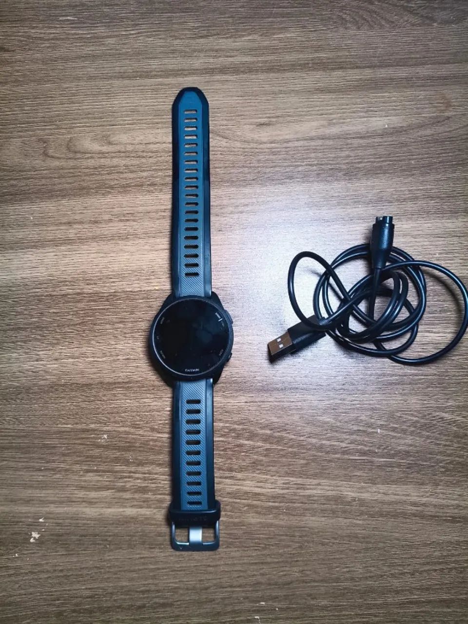 Garmin 165