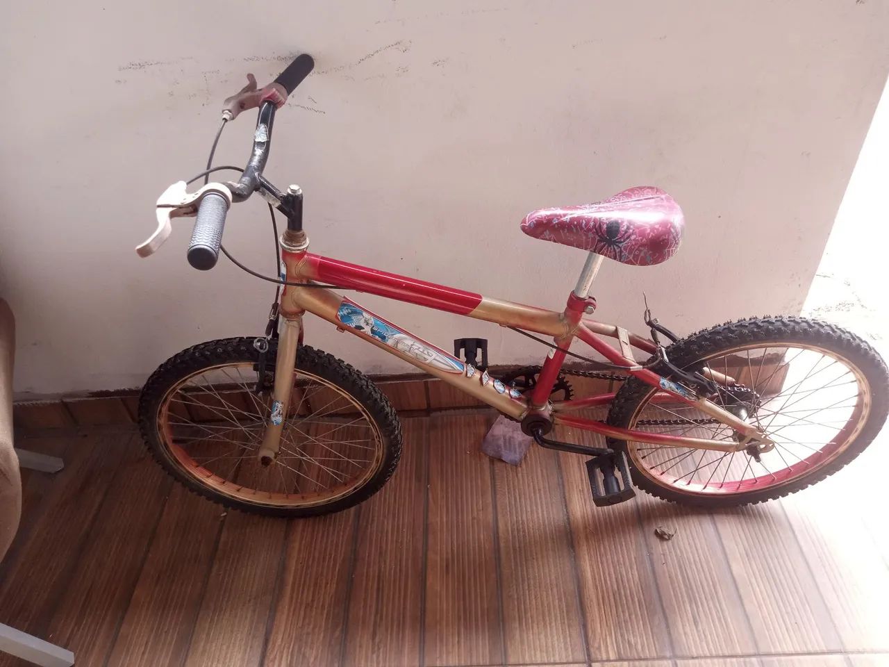 Bicicleta 