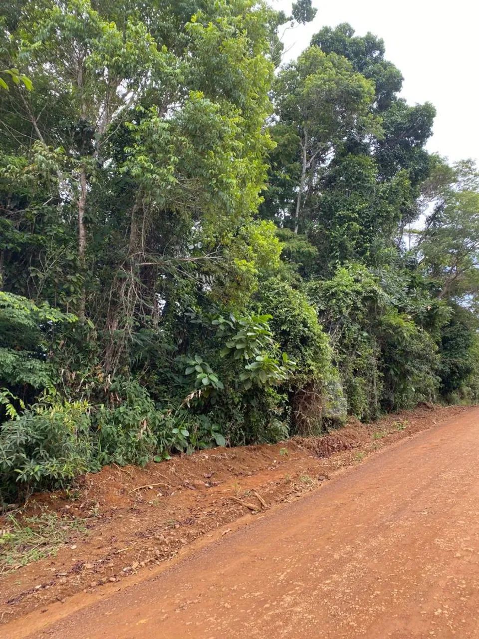 Terra a venda  - Foto 5