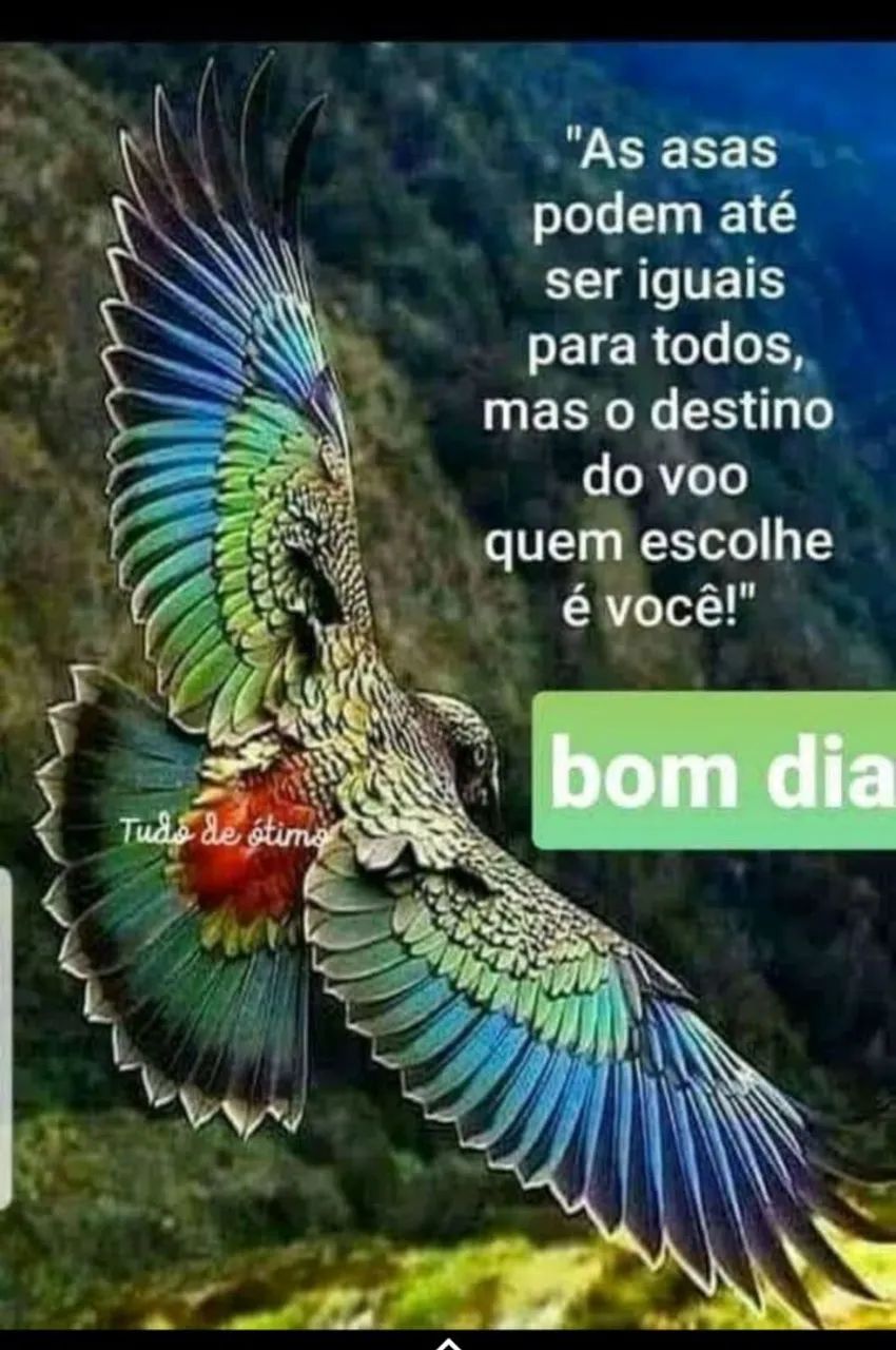 Tanque de lavar roupa 