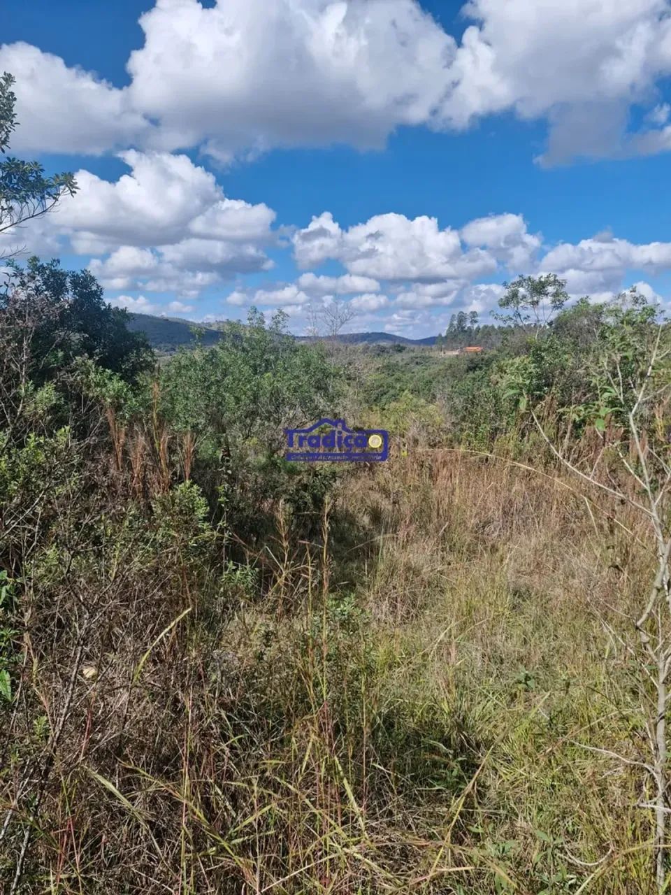 Terreno   Rural  em Oliveira - MG - Foto 2