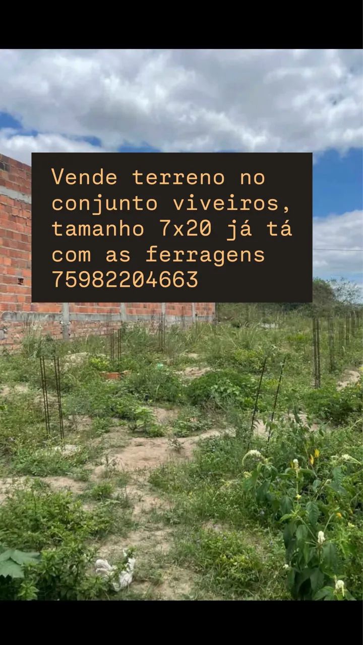 Foto - Feira de Santana - Centro