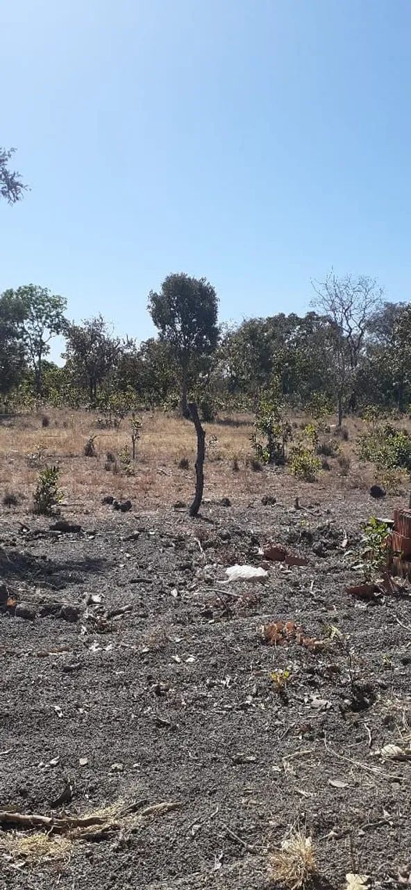 Terreno/ Casa - Foto 4