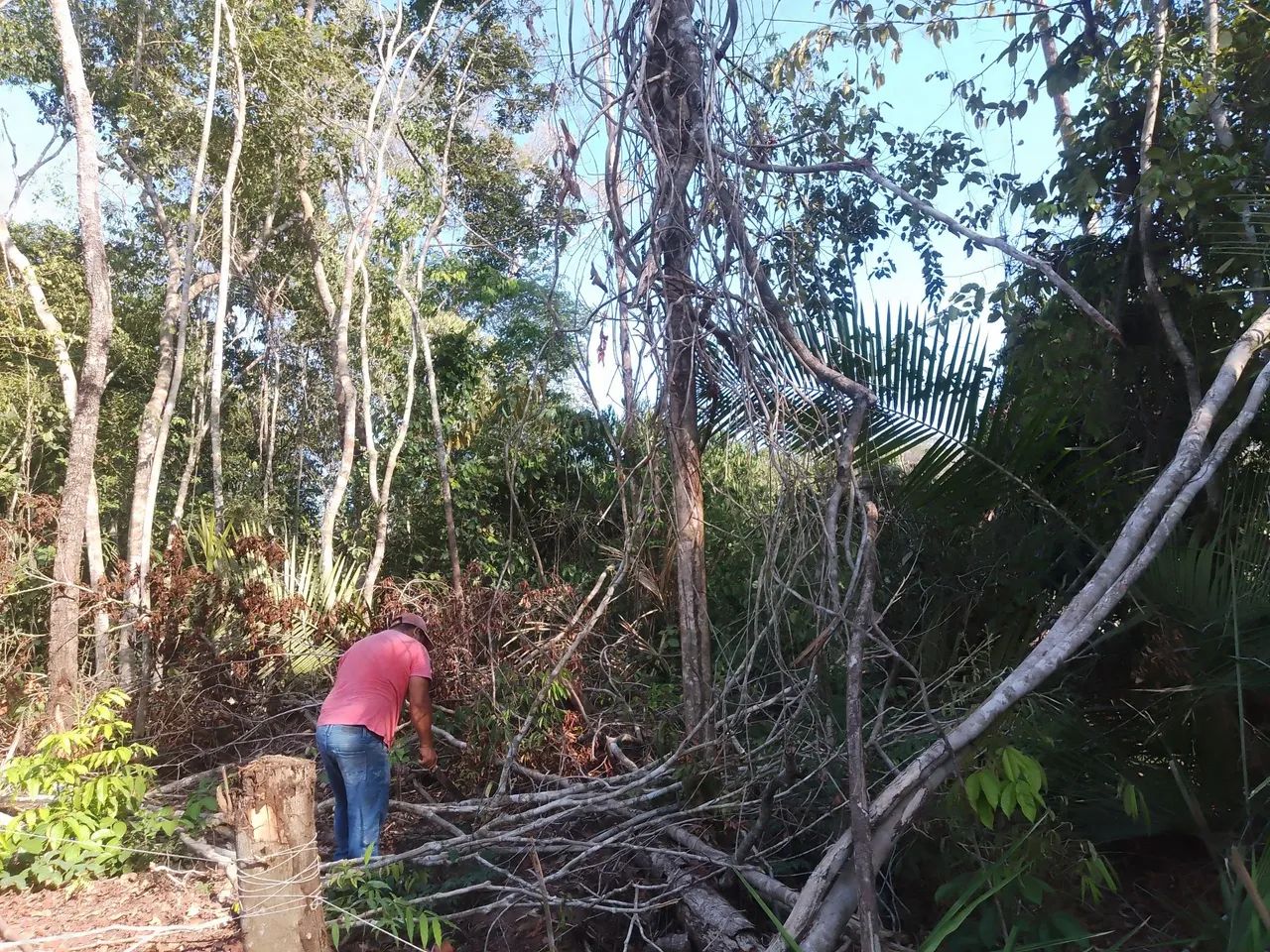 Limpeza de terreno  - Foto 4