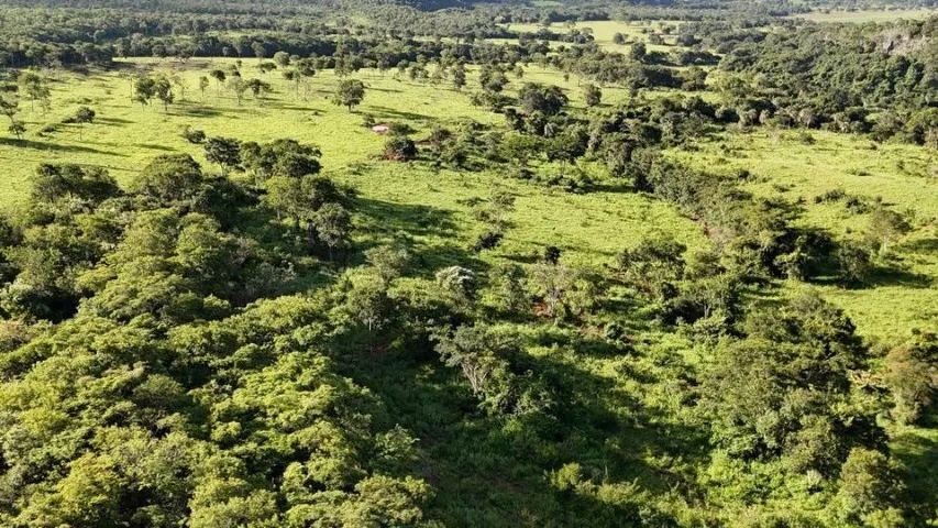 Fazenda Região de Unaí Mg - Foto 3