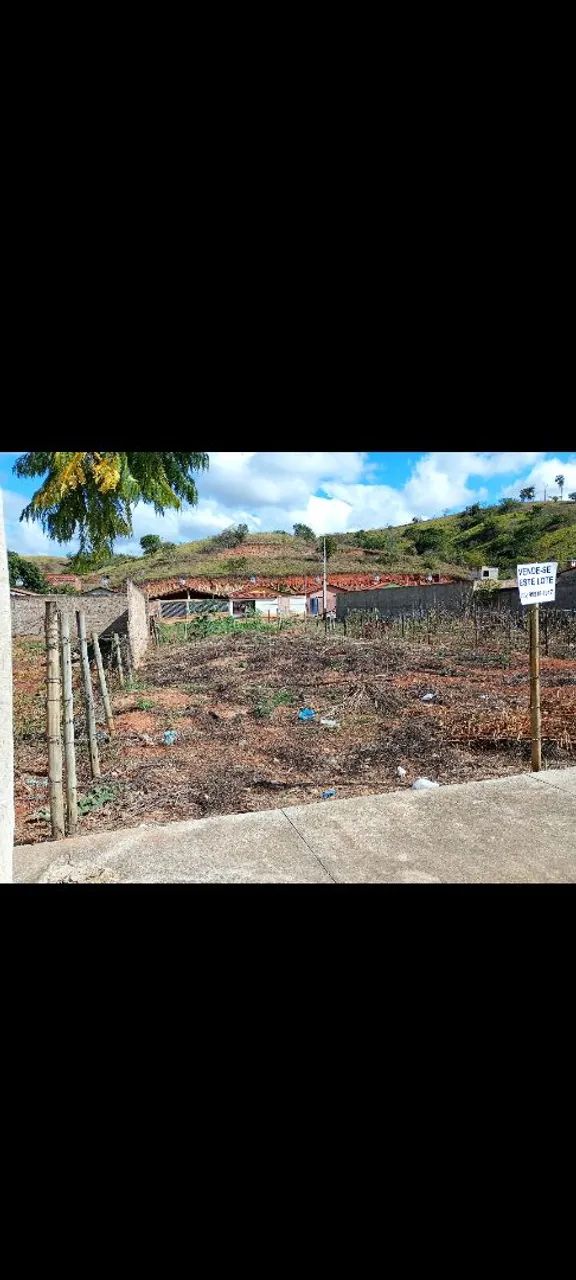 lote - Foto 3