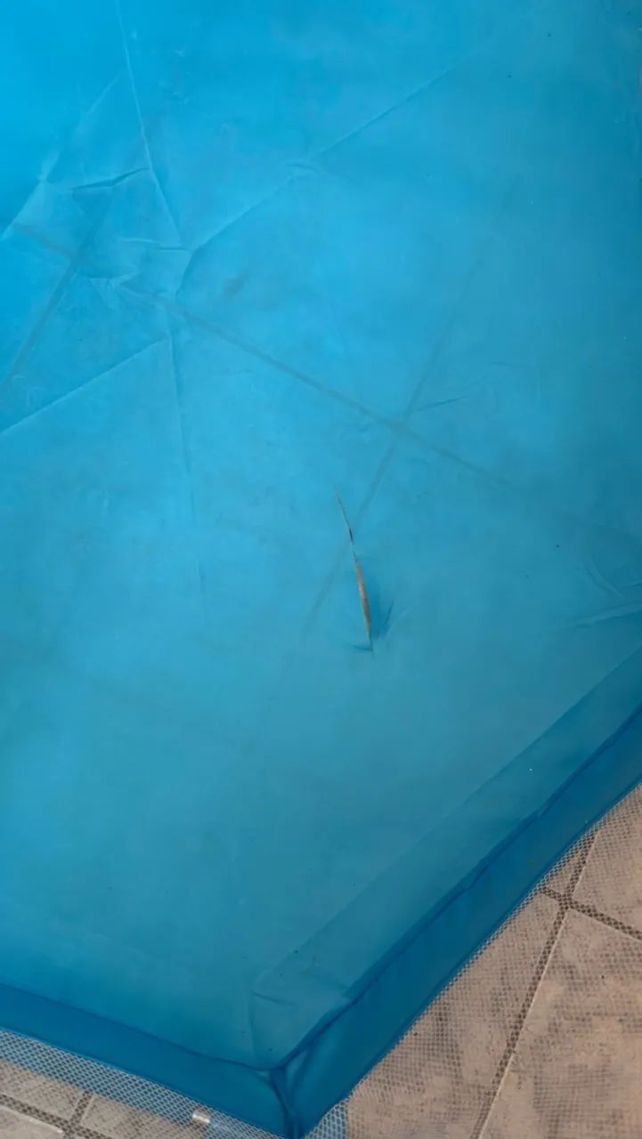 VENDO Cerdadinho de bebê  - Foto 4