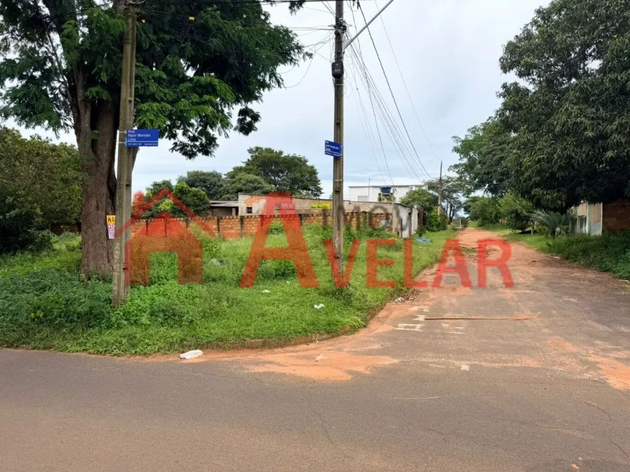 Terreno para venda, Morada Nova, Uberlândia - TE1289 - Foto 2