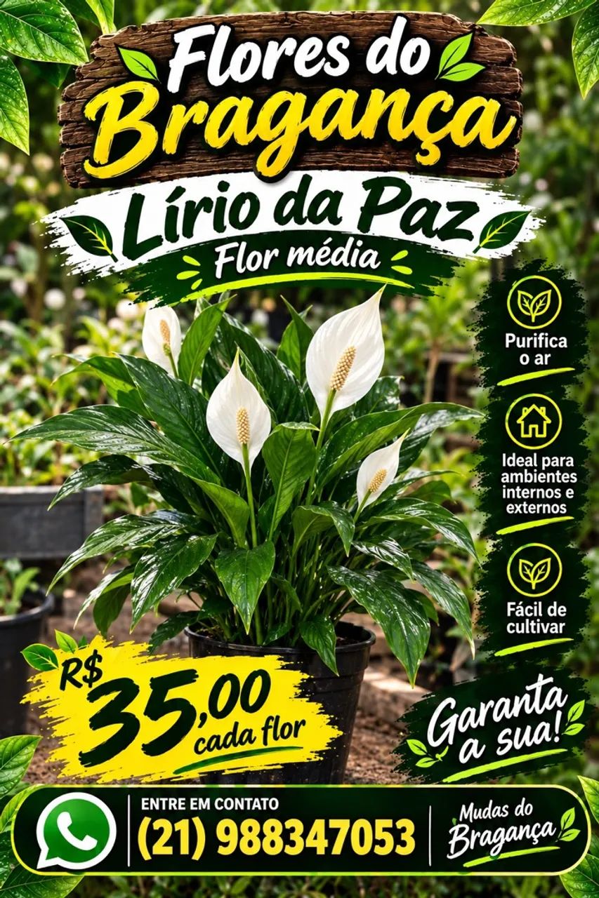 Planta 