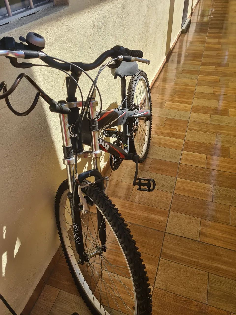 Bicicleta 