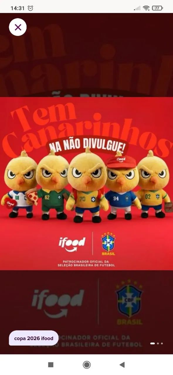 Canarinho da seleção brasileira 2002 - Foto 2