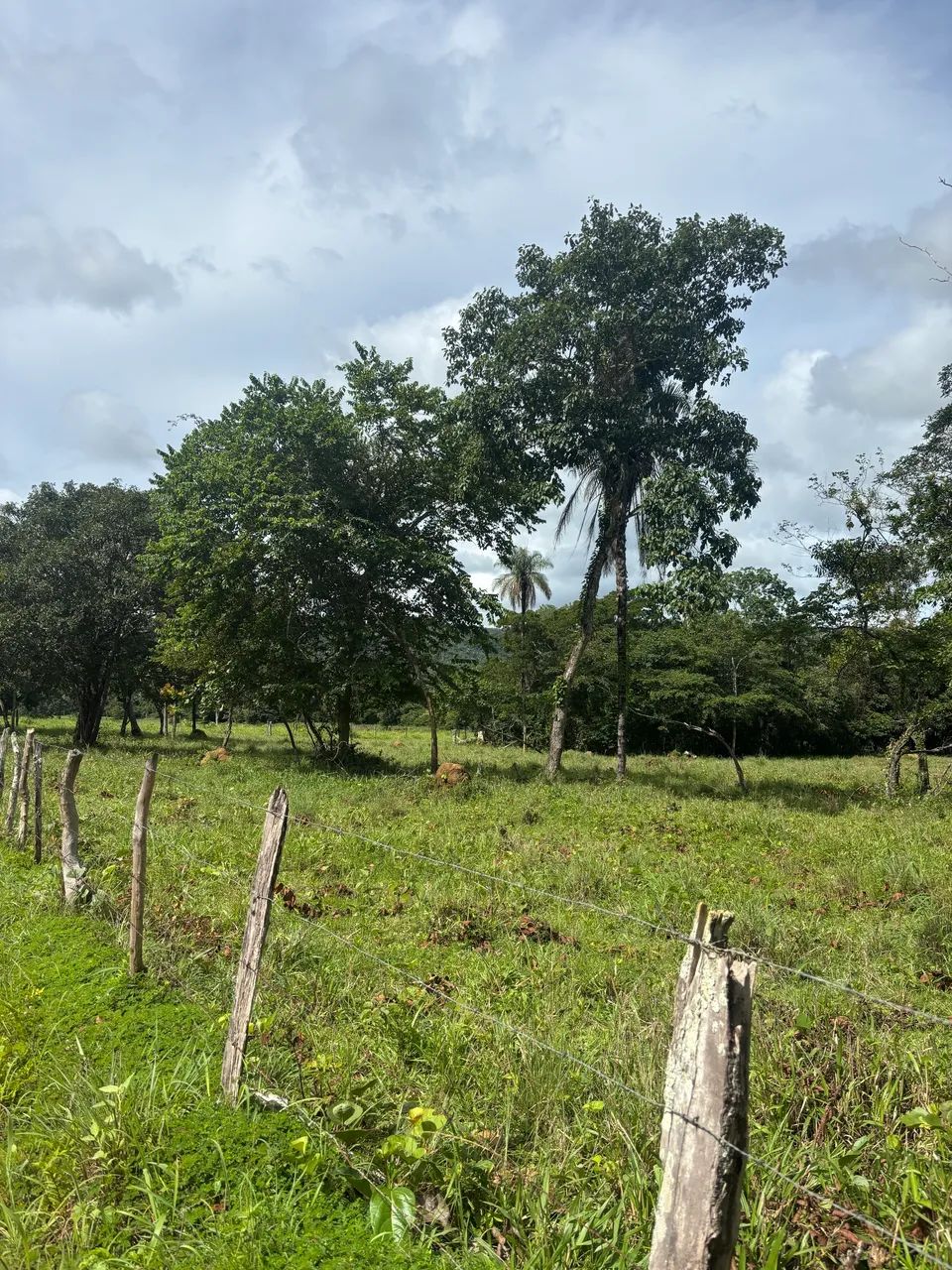 Vendo chácara de 2 Aq. sentido Lajeado  - Foto 3