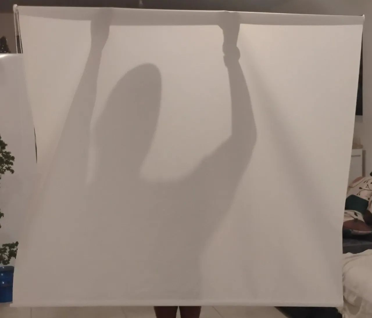 Roller Blind