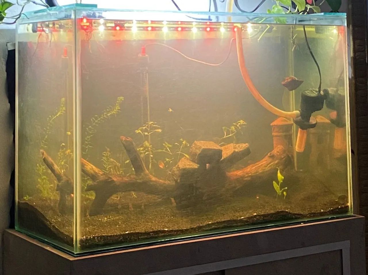 Aquario com Canister