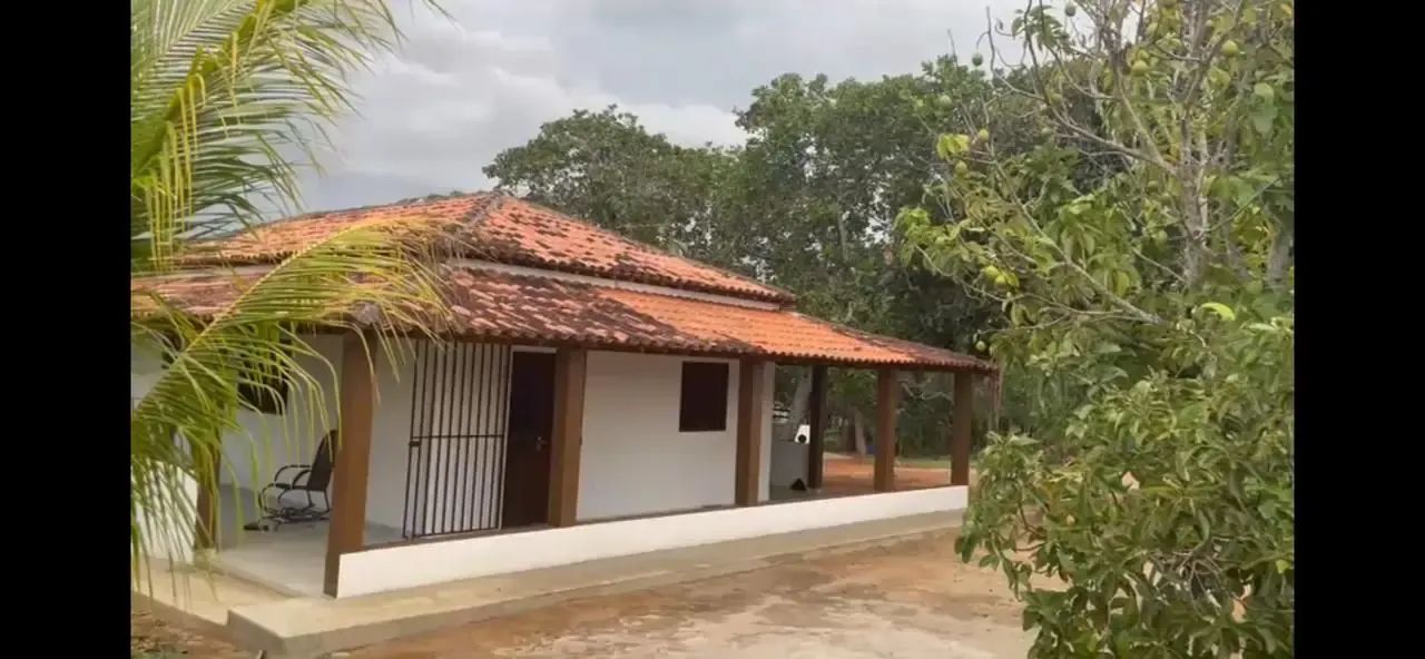 CHÁCARA EM ARAPIRACA - Foto 4