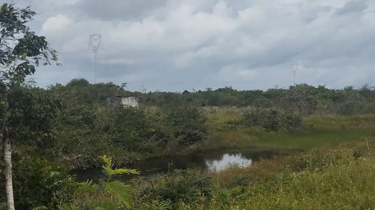 Vende-se área rural em Humberto de Campos   MA - Foto 3