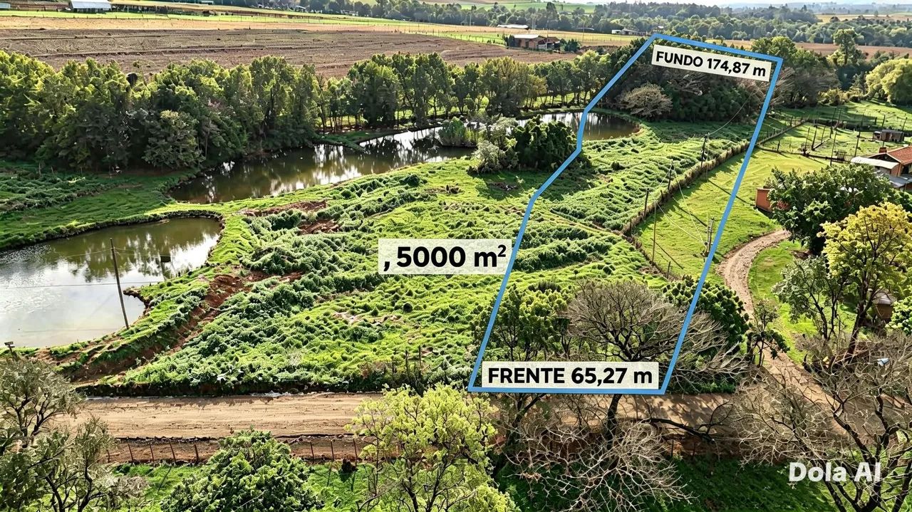 Vendo chácara 5000 m2 - Foto 4