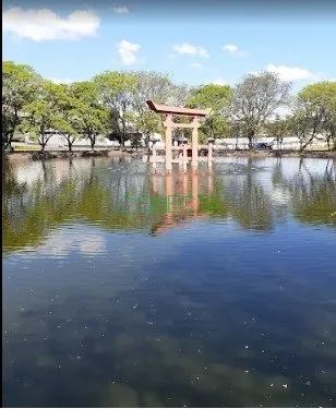 Terreno | Jardim Ikeda | Assaí - Foto 4