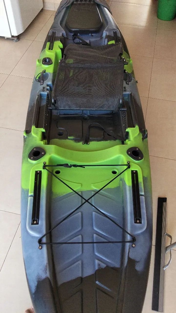 Caique barracuda evolution