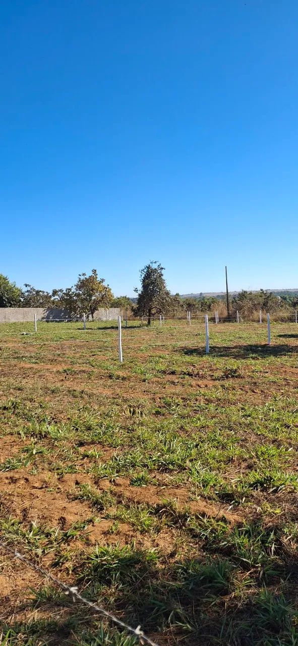 VENDE 3 CHÁCARAS  - Foto 2