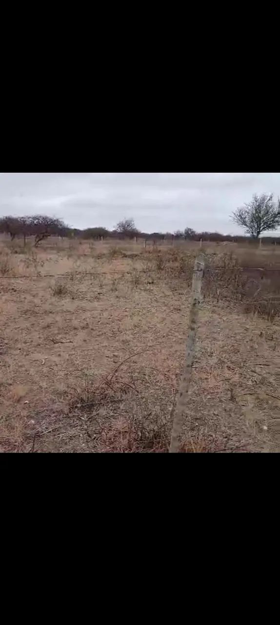 Vendo terreno pra chacra - Foto 5