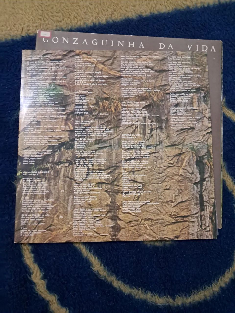 Luis Gonzaga Júnior- Gonzaguinha da Vida - Foto 4