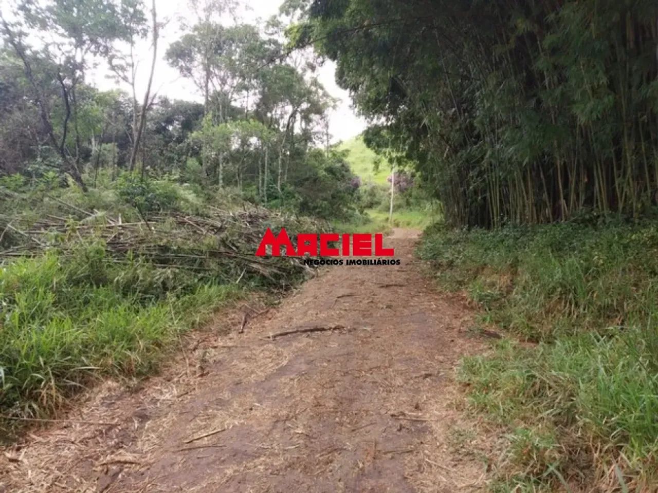 Sítio de 10 alqueires em Monteiro LObato