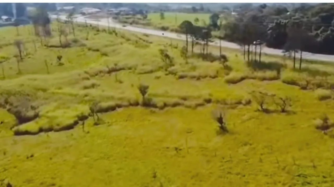 AREA RESIDENCIAL em Sorocaba - SP, Prestes de Barros - Foto 5