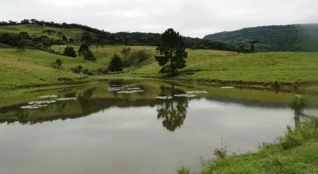Fazenda com 320 hectares - Bom Retiro - Serra Catarinense - Foto 3