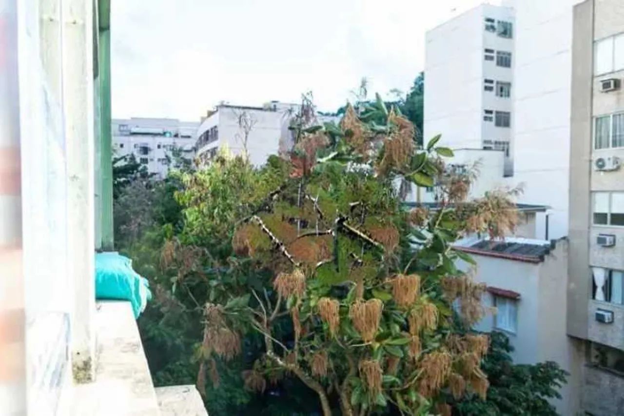 Apartamento : / Residencial / Botafogo - Foto 5