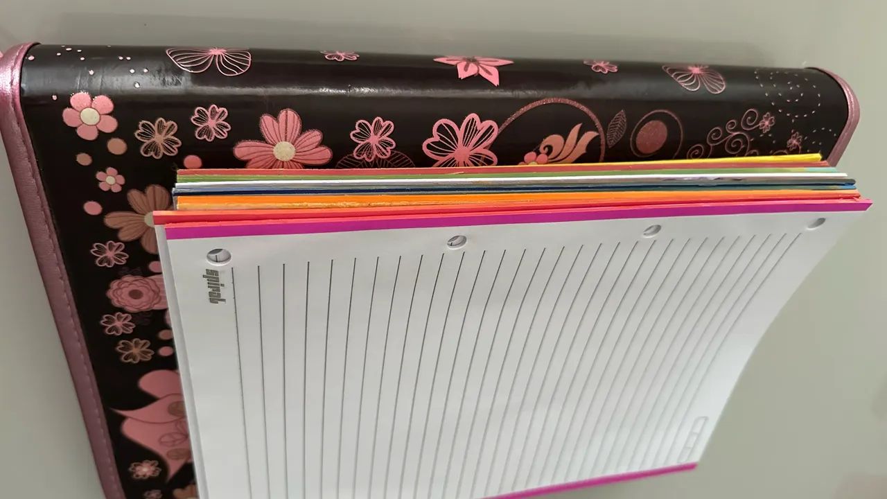 Fichário  - Foto 4