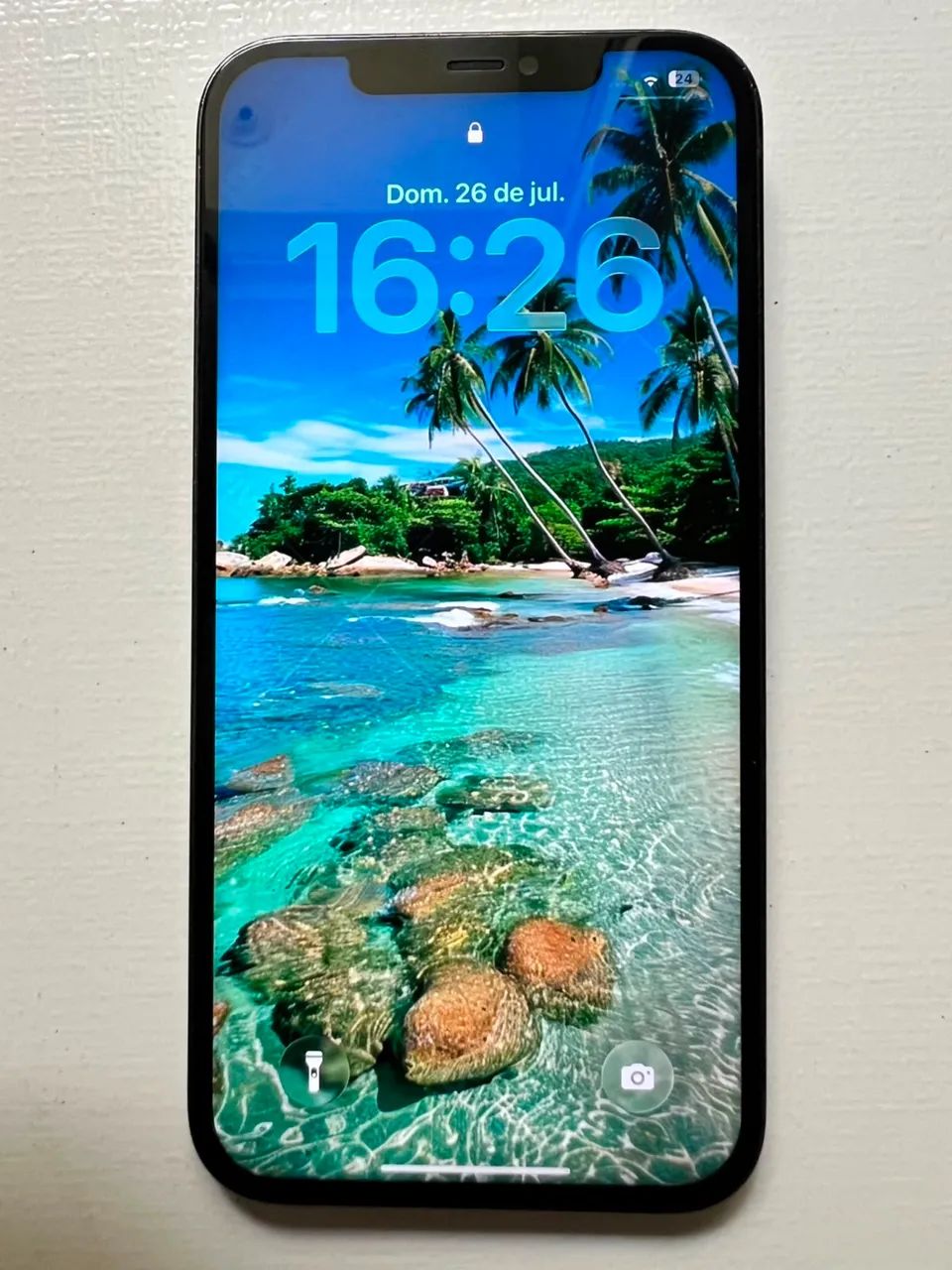 iPhone 12 Pro Max Leia a Descrição 